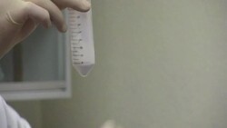 CLEAN : Mexican scientists invent new technique News Clip