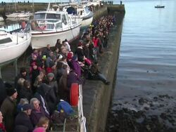 Preparations for Loony Dook swim News Clip