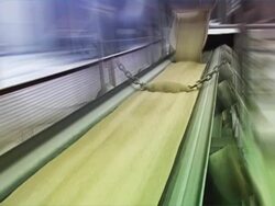 Sand Conveyor Stock Footage