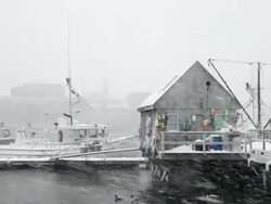 Winter in New England Stock Footage