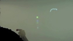 Pattie Maes + Pranav Mistry: Meet the SixthSense interaction Instructional Video