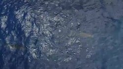 Whale-watching shots off the coast of off the coast of Isla del Meridiano in the Canary Islands News Clip