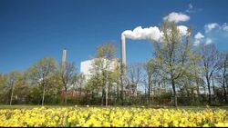 Emissions from a coal fired power plant in Amsterdam, Holland with Daffodils in the foreground. Stock Footage