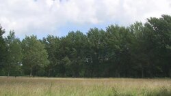 Landscape Stock Footage