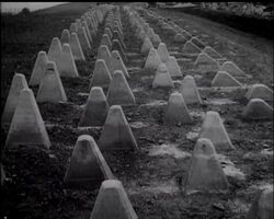 THE SIEGFRIED LINE - News Clip