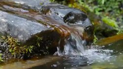 Pure Spring Water From Alpine Mountain Close-up Stock Footage
