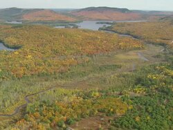 WS ARIEAL View of Wooded area with autumn color at islands with meandering river / Maine, United States Stock Footage