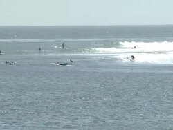 Matthew McConaughey at MaliBLUE Festival, Sponsored by Emergen-C and Surfrider Stock Footage