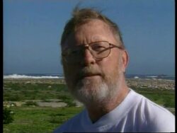 SOUTH AFRICA: OIL SPILL &amp; PENGUIN COLONY LATEST (2) News Clip