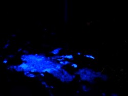 Toxic Liquid Stock Footage