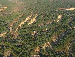 WS AERIAL View of pinehurst golf courses and road / North Carolina, United States Stock Footage