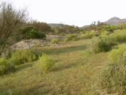 WS PAN View of Low growing bush and shrub covering foothills of rocky mountain range / Namaqualand, Northern Cape, South Africa Stock Footage