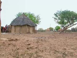 WS DS Mud Huts In The Himba Village Stock Footage