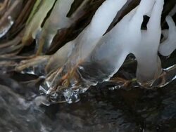 CU Little brook with icicles in winter  /  Kastel-Staadt, Rhineland-Palatinate, Germany  Stock Footage