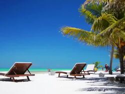 Tropical Beach Stock Footage