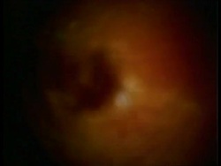 Red glycerol space effects pump to camera Stock Footage