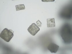 Crystallizing Stock Footage