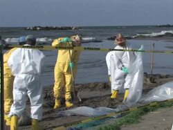 Various shots of oil and gas rigs off Port Fourchon, workers in protective suits cleaning up tarballs on beach, piles of plastic bags Stock Footage