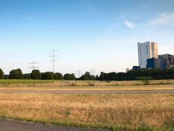 Construction manager reading plan Stock Footage