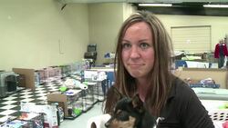 CLEAN : After tornado a hunt for mans best friend News Clip
