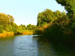 River and Nature Series Stock Footage