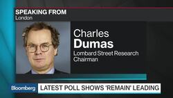 Dumas: Cameron's Brexit Argument 'Extremely Weak' News Clip