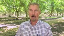 California farmer concerned about impact of retaliatory tariffs News Clip