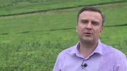 VOICED : Te de clima templado News Clip