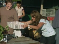 MS PAN Volunteers packing and weighing vegetables / Chicago, IL, United States Stock Footage