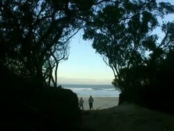 HD 1080i 3 people walking to South African beach Stock Footage