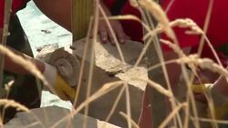 VOICED : Sequia desvela tesoro arqueologico en Polonia News Clip