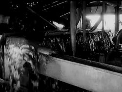 RUTILE MINING News Clip