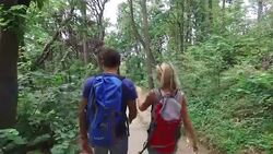 Friends hiking Stock Footage