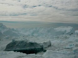 MS T/L Shot of icebergs moving in water / Ilulissat, Greenland Stock Footage
