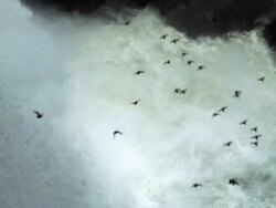 Birds flying by Iguacu Waterfall HD Stock Footage