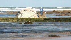 VOICED: Que hacer con la ballena muerta? News Clip