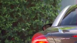 Mary Berry arrives home in car News Clip