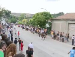MS PAN Horses arrive at finishing line without jockeys / Montelongo, Molise, Italy Stock Footage