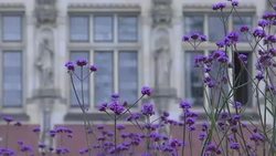 CLEAN : STOCKSHOTS: Hague tribunal to rule in tense South China Sea row News Clip