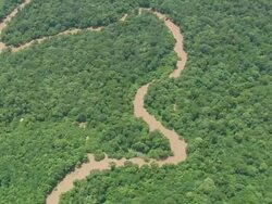 WS AERIAL View of River in forest / Louisiana, United States Stock Footage