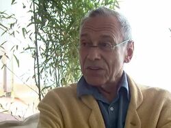 Nutcracker 3D Interview: Cannes 2010 Film Festival Stock Footage