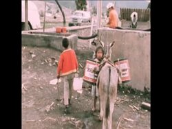 SYND03-10-73 EARTHQUAKE AFTERMATH Instructional Video