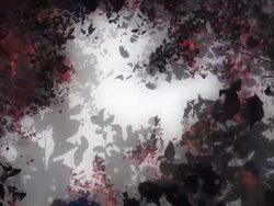 COOPER BEECH TREE IN AUTUMN : natural colors (seamless loopable) Stock Footage