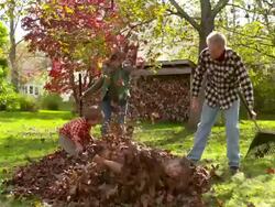 WS SLO MO DS Grandmother grandfather grandson and granddaughter playing in pile of leaves / Tivoli, New York, United States Stock Footage