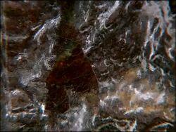 Melting ice, Parque Natural Sierra Nevada, Andalucia, Spain Stock Footage
