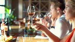 Wine tasting. Stock Footage