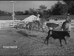 1952: LAS VEGAS, NEVADA: RANCHING: WS Tule Springs Ranch sign. WS Two horseback riders, male & female, dressed in Western clothing & cowboy hats riding after steer w/ rope, VS Bob Cap saddling Quarter horse.    Dude ranch, resort, securing. Instructional Video