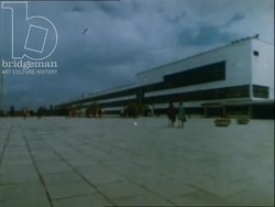 School children involved in conservation plant trees and hang birdhouses, USSR 1970s Stock Footage