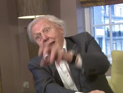 INTERVIEW Sir David Attenborough on how technology has changed filming at the Mayfair Hotel on 14th December 2011 in London, UK Stock Footage