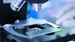 Researchers looking into a microscope, slow motion Stock Footage